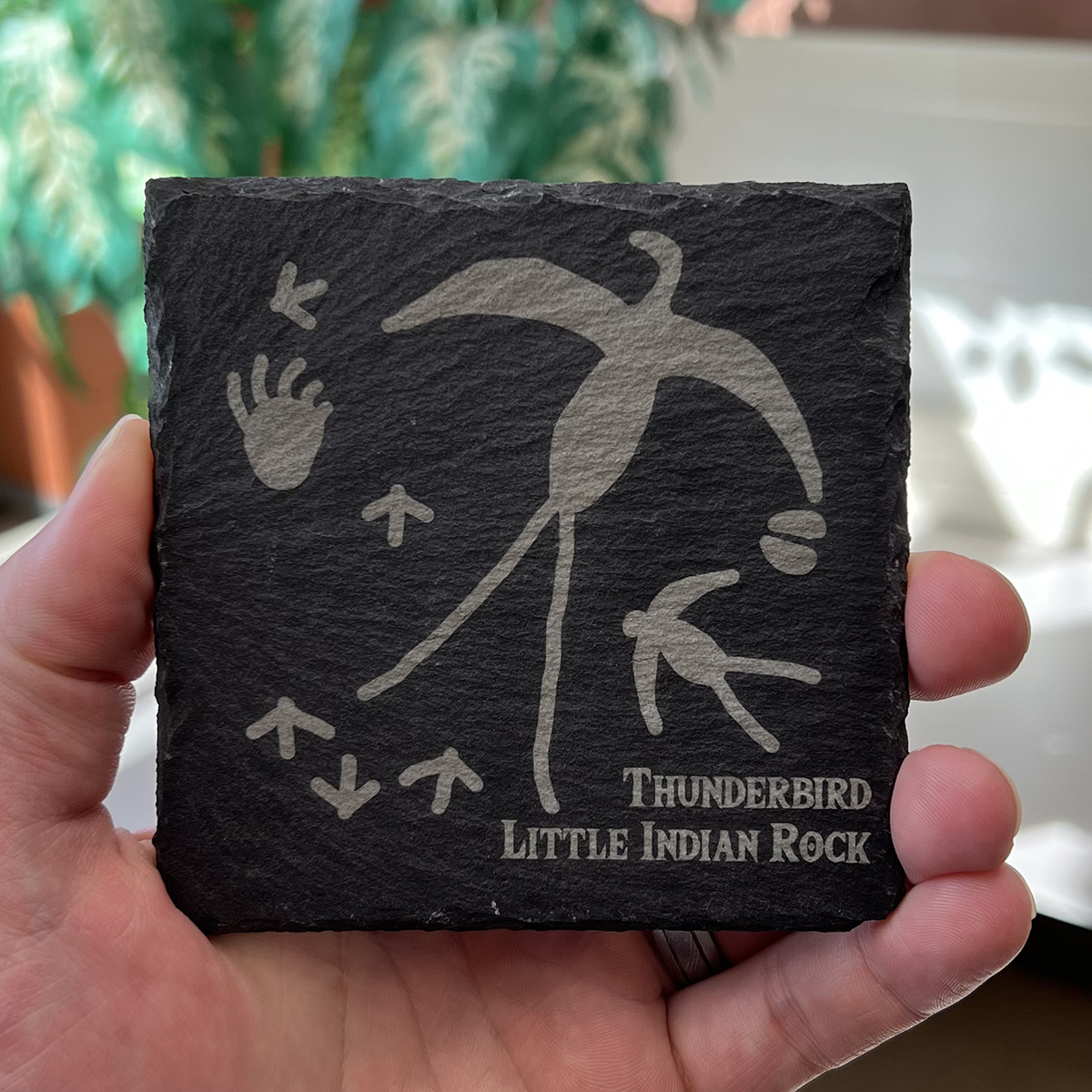 petroglyphCoasterThunderbird1.jpg